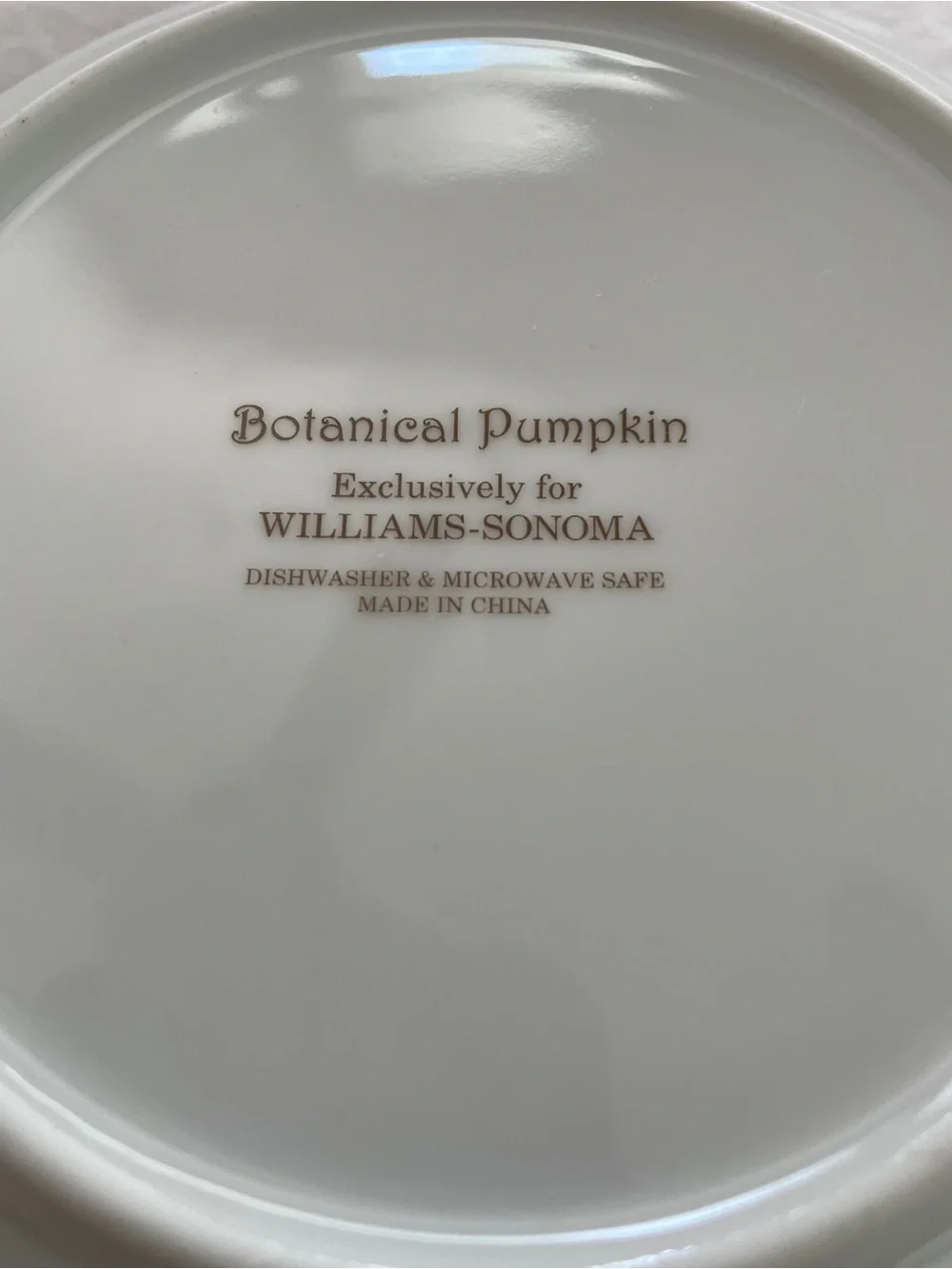 Williams Sonoma Botanical Pumpkin Coupe Soup Bowls 8.75” (Set of 2)